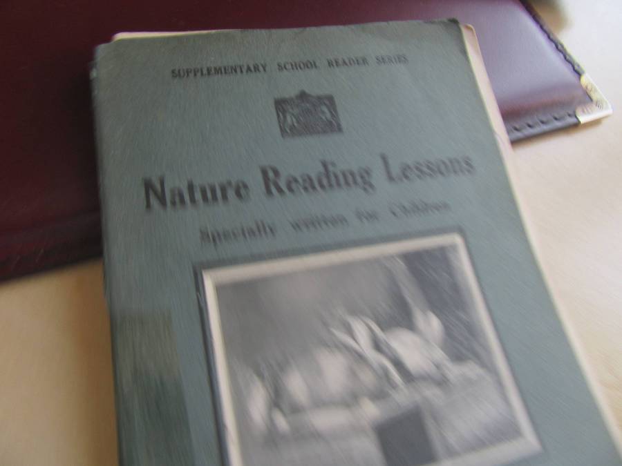 CLEARANCE - 35 OLD CHILDREN'S BOOKS - BID PER BOOK