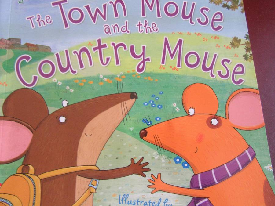 MY STORY TIME COLLECTION - 19 VARIOUS MILES &KELL IN HOLDER - AS PER SCAN - BID PER BOOK - MD