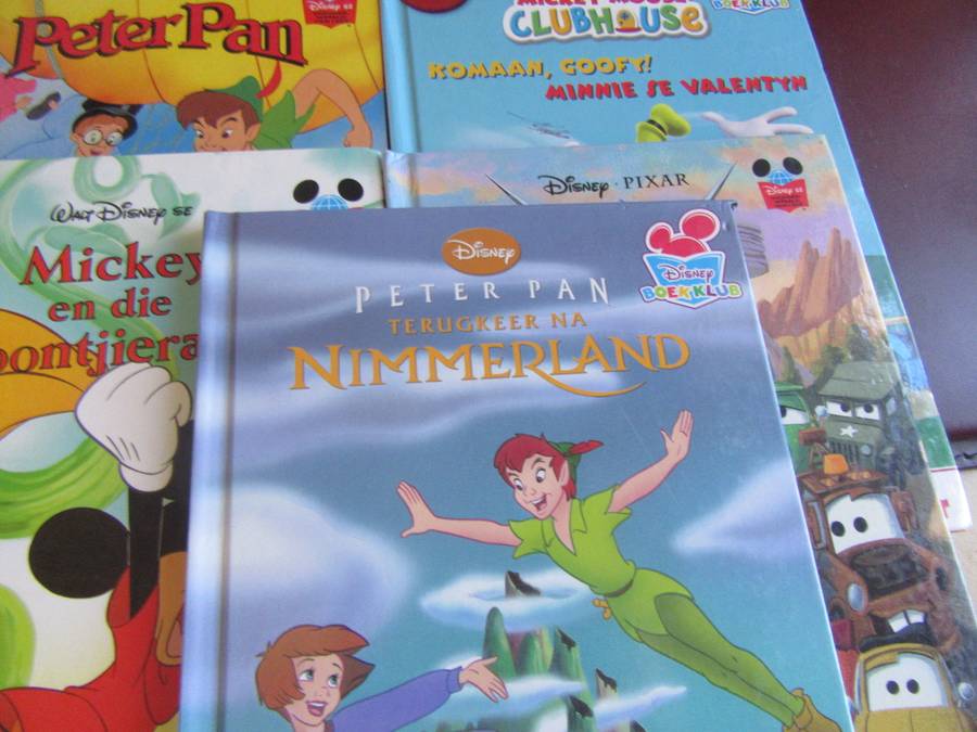 5 VARIUS DISNEY BOOKS - AS PER SCAN - BID PER BOOK - MD