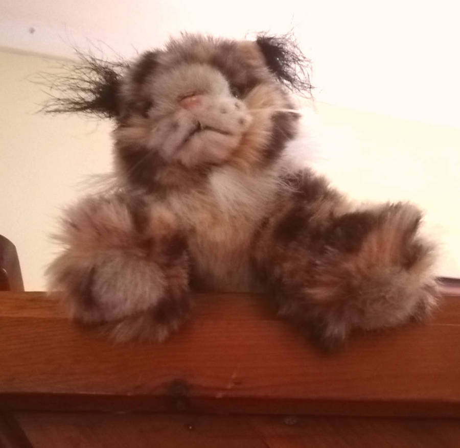 Beautiful Lexi the Lynx Plush Soft Toy! 15cm.
