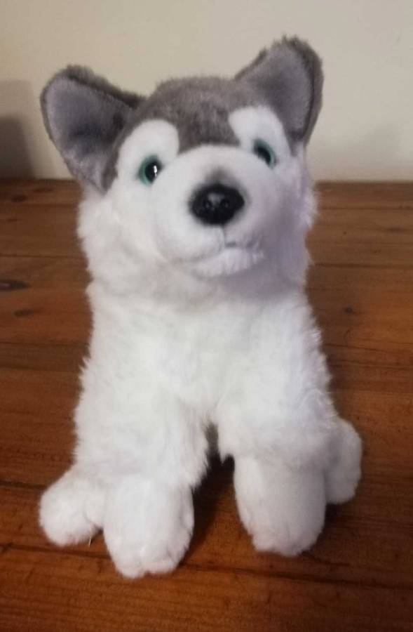 A beautiful, plush Husky named Luciz! 22cm.
