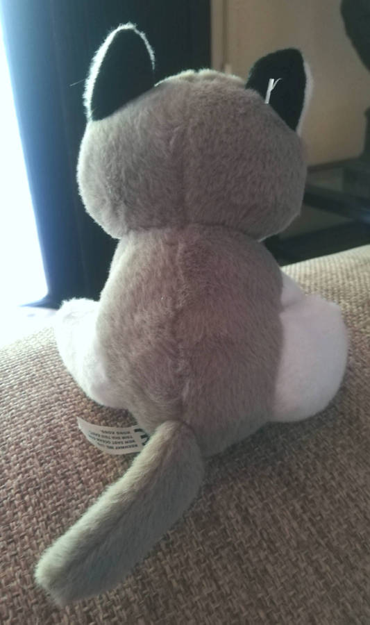 Shilo the cute little Husky. 13cm.