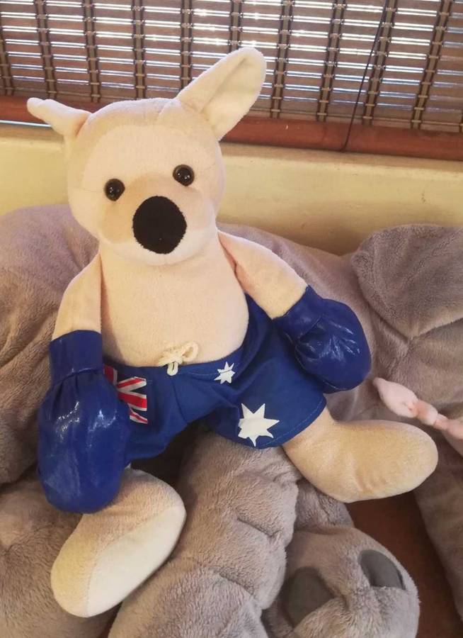 An Australia United Souvenir Boxing Kangaroo. A Plush soft toy. 40cm.