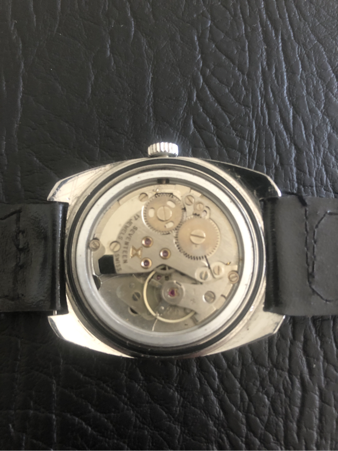 Vintage watch delfin