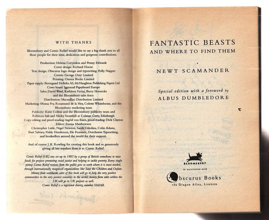 Fantastic Beasts & Where to find them - Newt Scamander ( Harry Potter)
