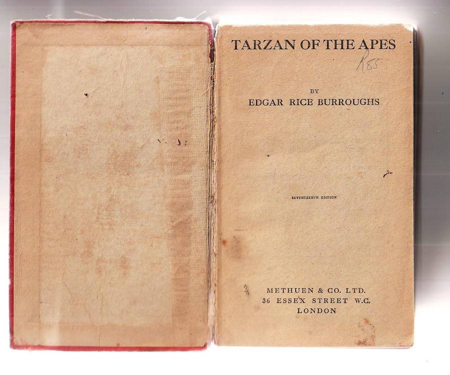 Tarzan of the Apes - ER burroughs - 1920 Edition - Over 100 years old