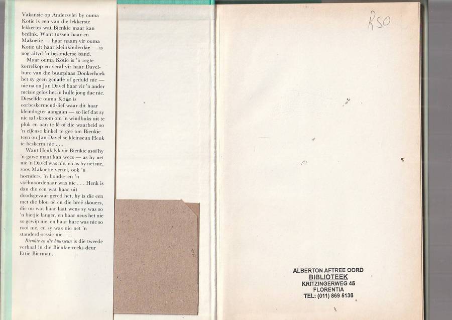 Bienkie en die Buurseun - Ettie Bierman - Bienkie reeks