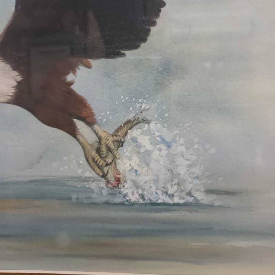 Fish eagle scene watercolour by Estelle van Schalkwyk