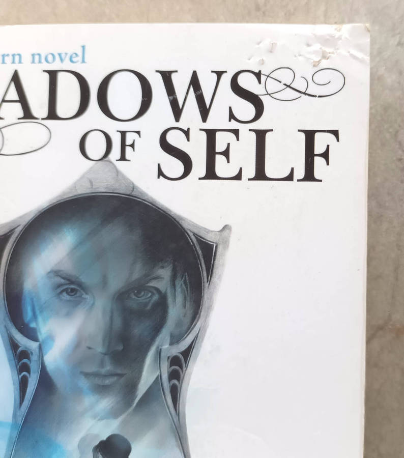 Shadow of self (Misborn novel) by Brandon Sanderson