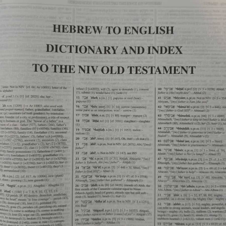 The Strongest NIV Exhaustive Concordance