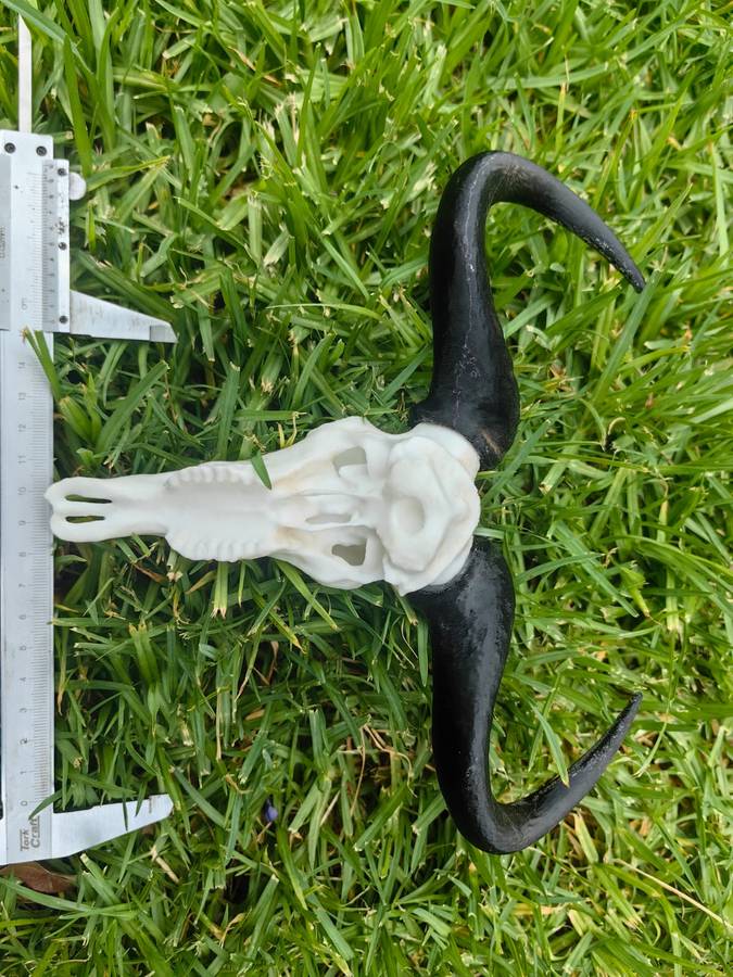 3D Printed Buffalo Skull