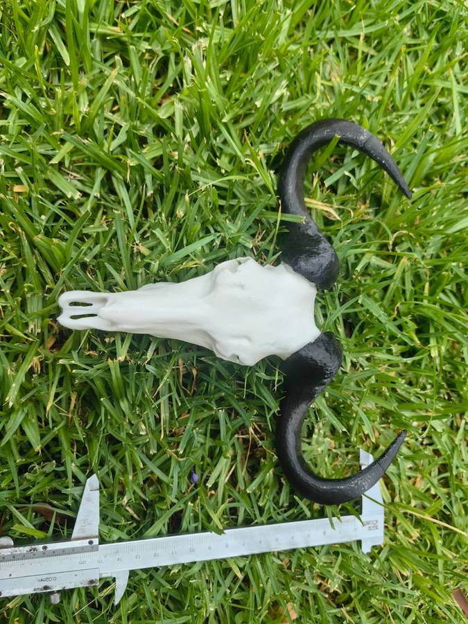 3D Printed Buffalo Skull