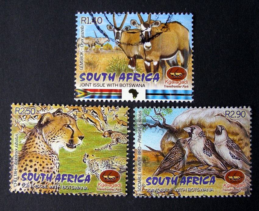 SOUTH AFRICA - Kgalagadi Trans Frontier Park 2001 //Animals//Birds