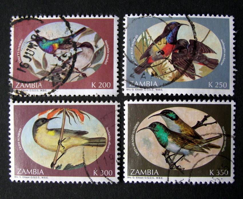 ZAMBIA - Sunbirds 1994