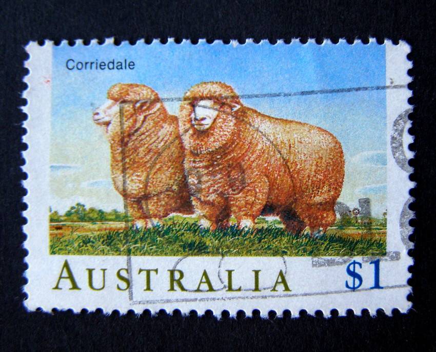 AUSTRALIA - Sheep 1989