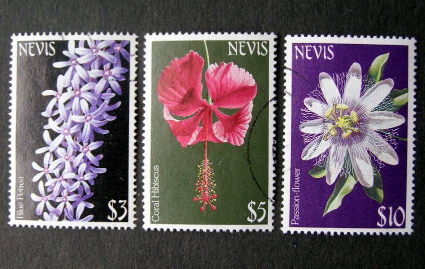 NEVIS - Flowers 1984