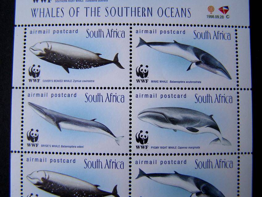 SOUTH AFRICA Mint Sheet - Whales of the Southern Oceans 1998