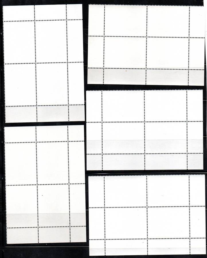 Namibia 2011 The Big Five umm set of (x5) control blocks - SACC712-6  lovely set - CV R480