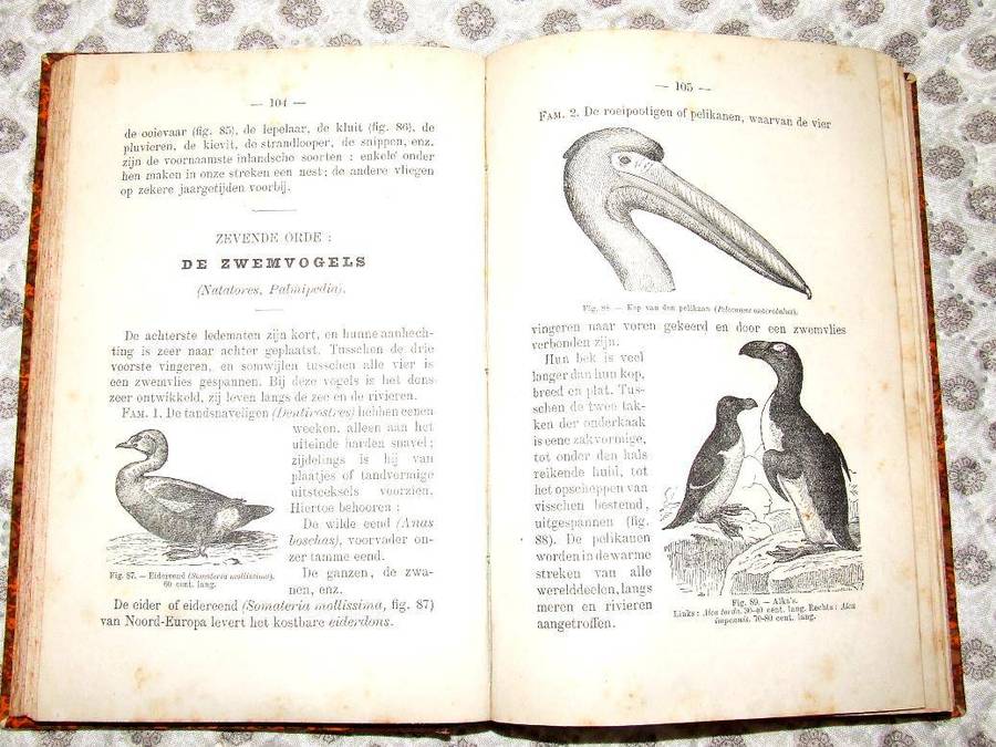 Dierkunde 1884 + 1888 & Passionsspiele 1930