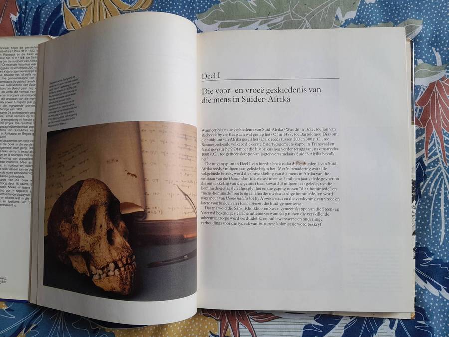 Nuwe Geskiedenis van Suid Afrika