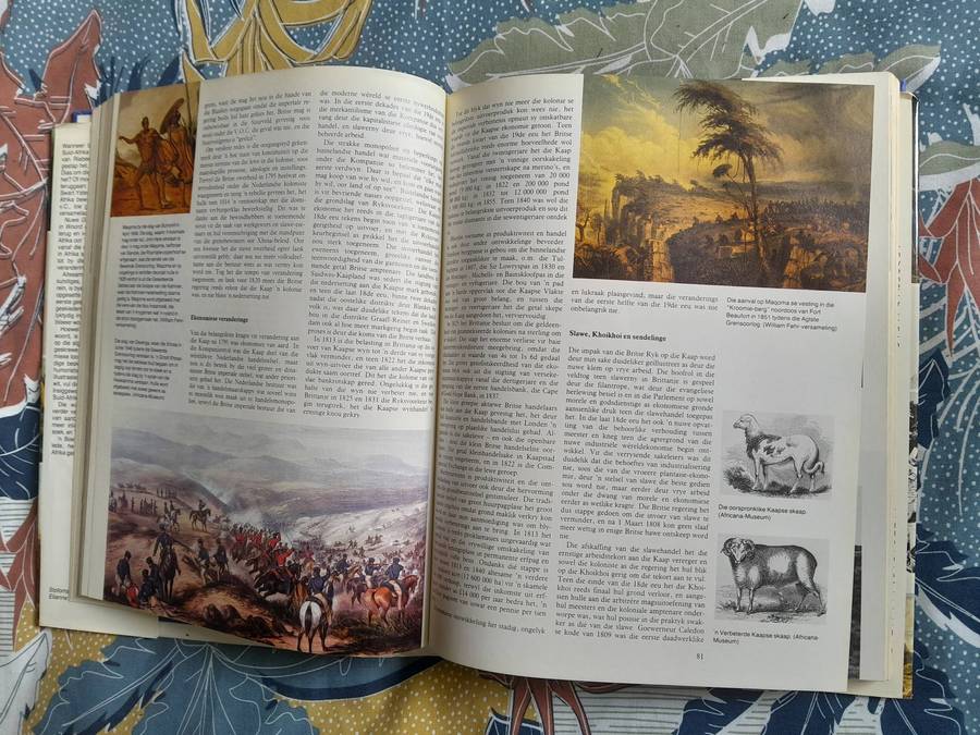 Nuwe Geskiedenis van Suid Afrika