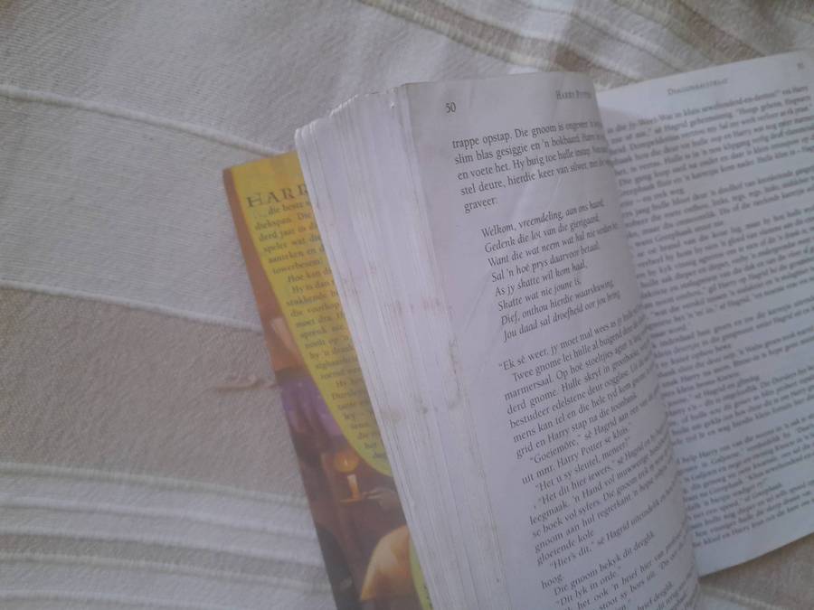 Harry Potter Philophers stone + Harry Potter die Towenaar se Steen