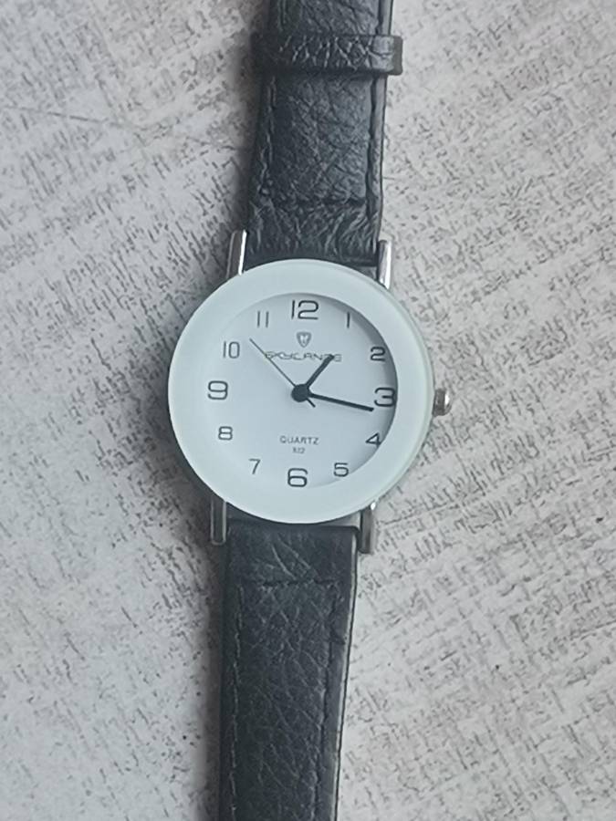 SKYLANGE DESIGNER MENS WATCH IN EXCELLENT WORKING CONDITION