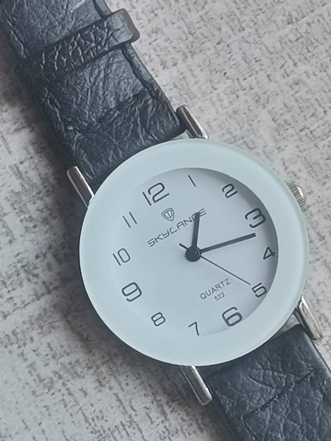 SKYLANGE DESIGNER MENS WATCH IN EXCELLENT WORKING CONDITION