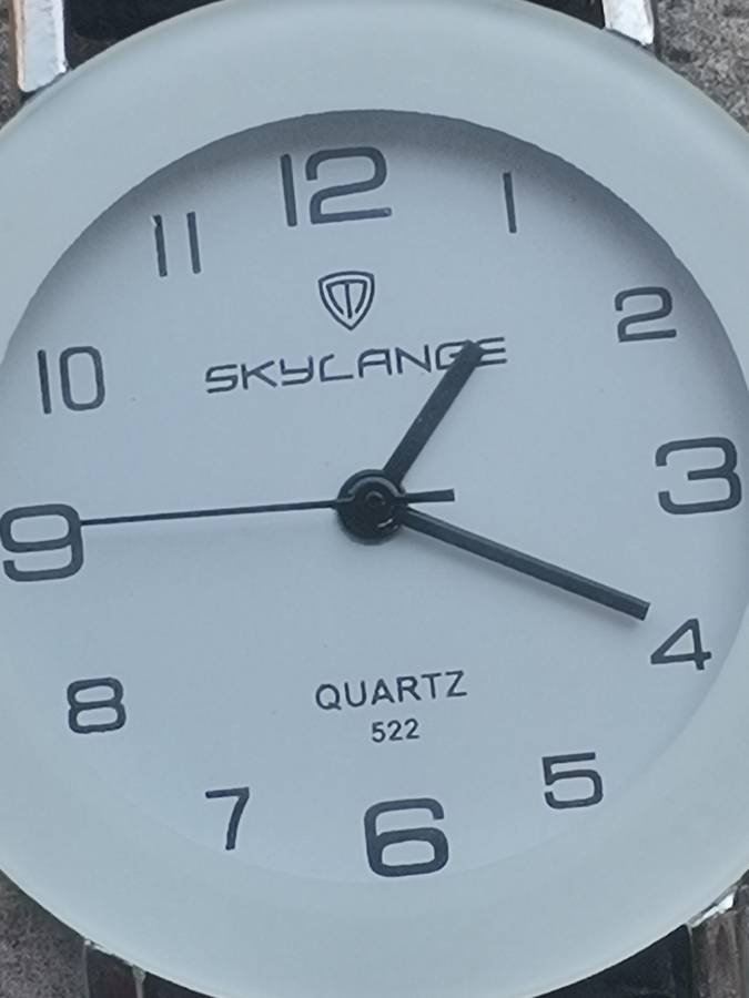 SKYLANGE DESIGNER MENS WATCH IN EXCELLENT WORKING CONDITION
