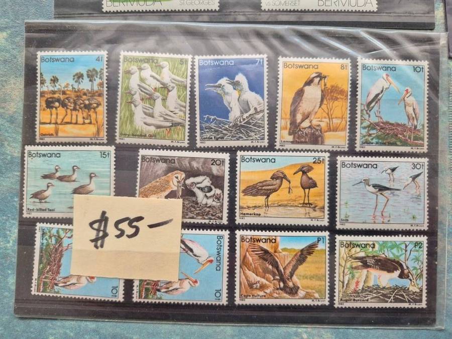 Mix - 8 (Lot053)