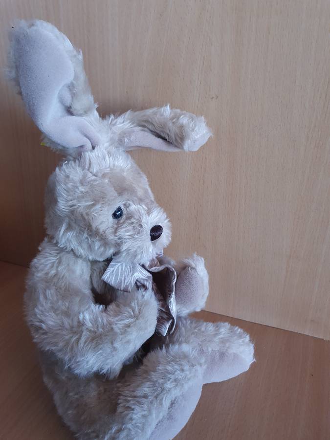 Bunny Soft Toy (25cm x 15cm)