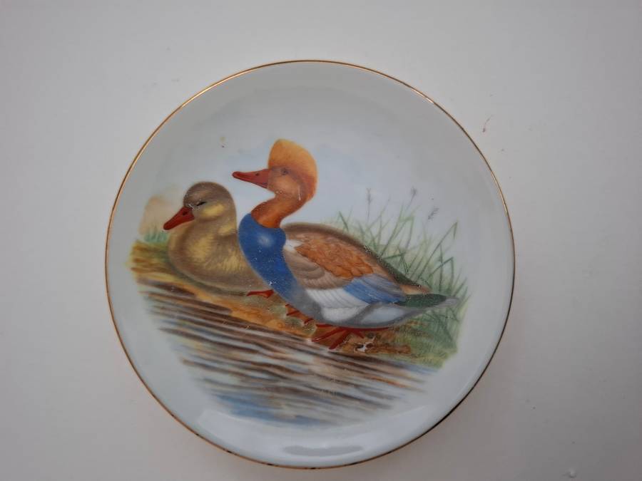 Small Round Duck Plate - width 10cm