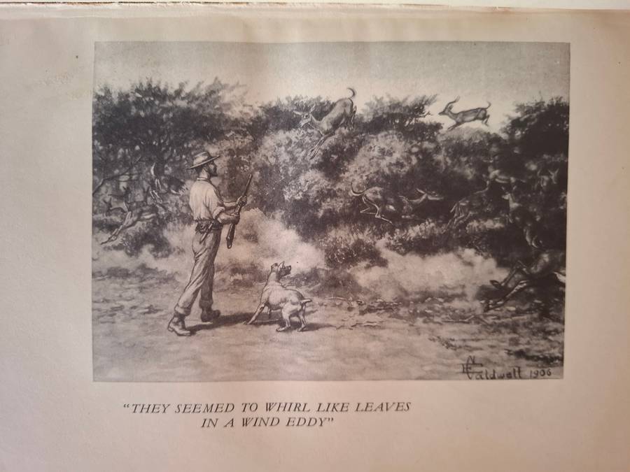 Jock of the Bushveld : Sir Percy Fitzpatrick (Hardcover)