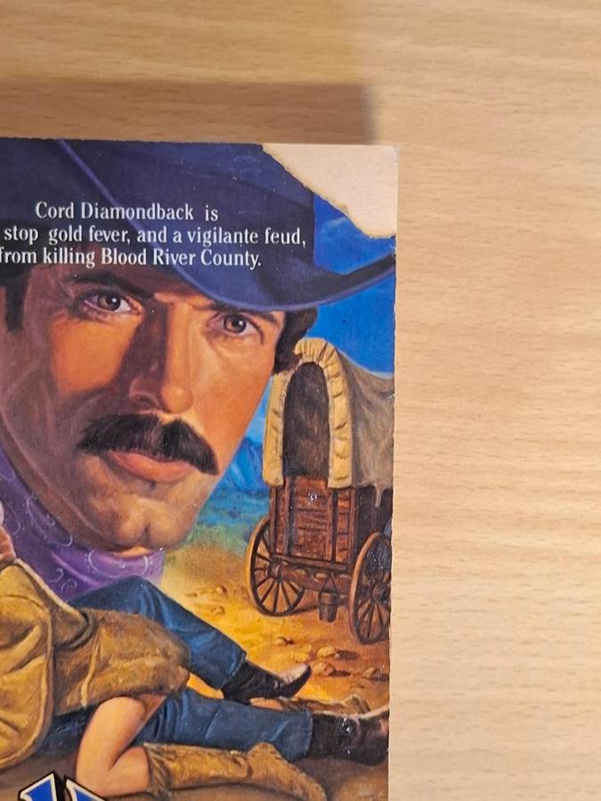 Diamondback No. 6 - Shroud of Vengeance : Pike Bishop  (Paperback)