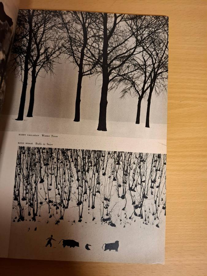 1960 Photography Annual 10th Anniversary Issue : Don Briggs