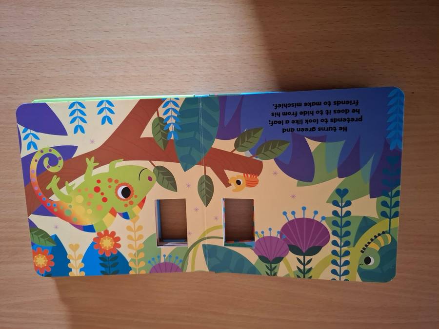 Chameleon (Board Book) Sn