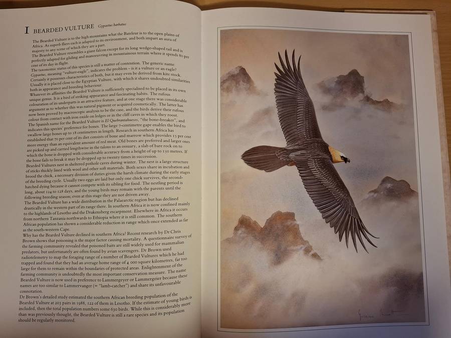 Hunters of The African Sky : Peter Steyn, Graeme Arnott   (Hardcover)