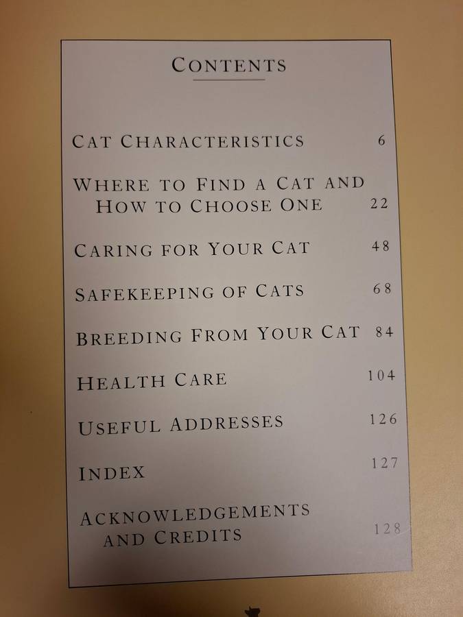 Caring for Your Cat : Paddy Cutts  (Paperback)