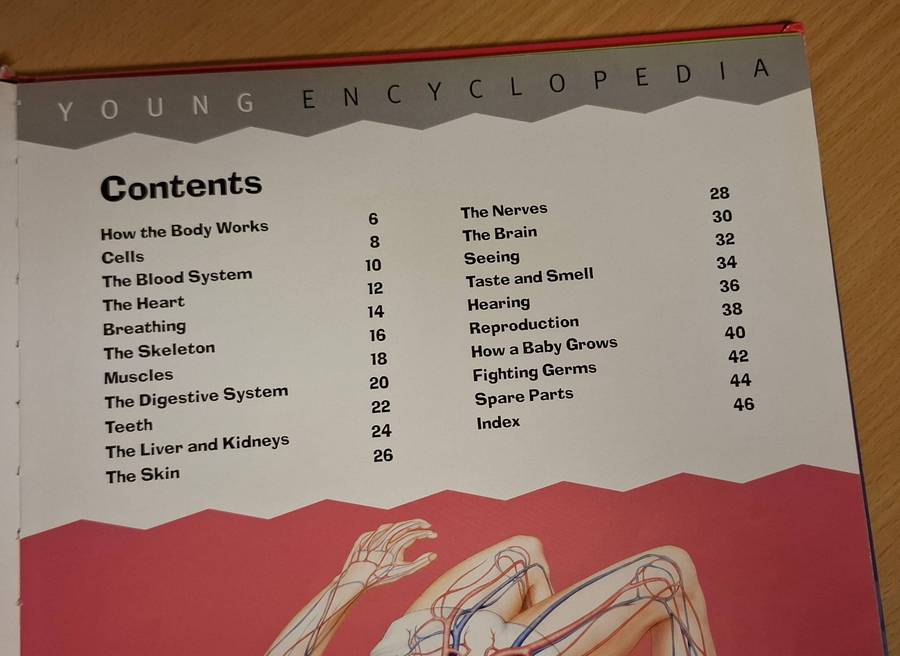Young Encyclopedia - The Human Body : Kate Barnes & Steve Weston (Hardcover)