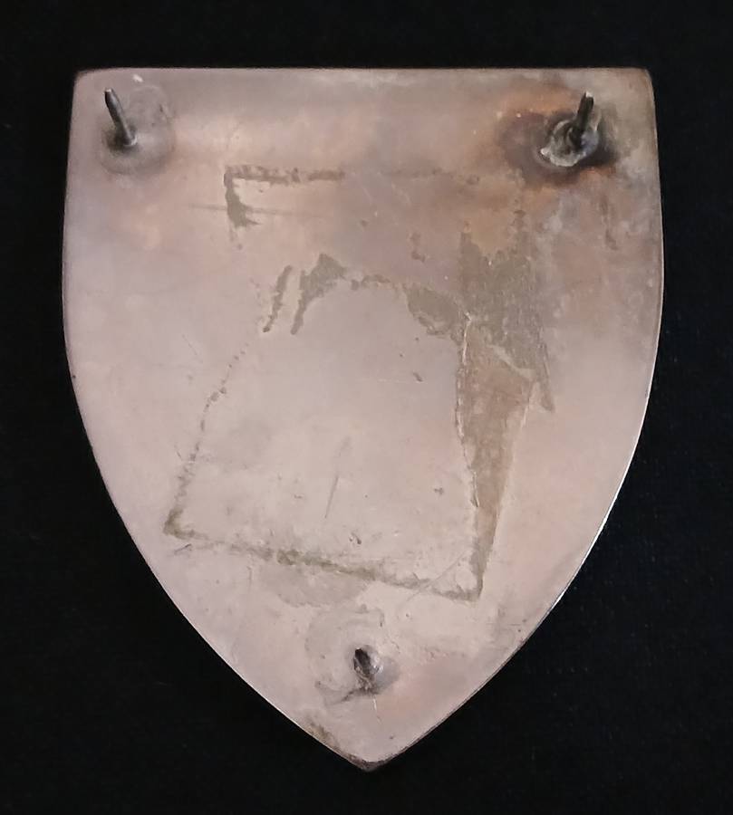 SADF RIVERSDAL COMMANDO SHOULDER FLASH                L102