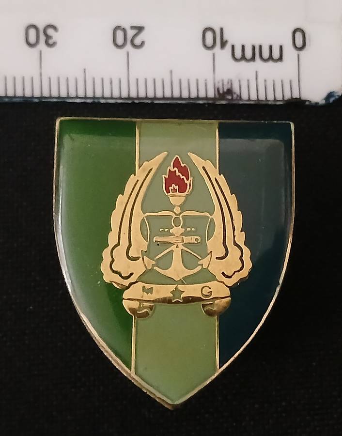 SADF ARMY GYMNASIUM SIGNAL UNIT FOB BADGE ( GOLD )       L271