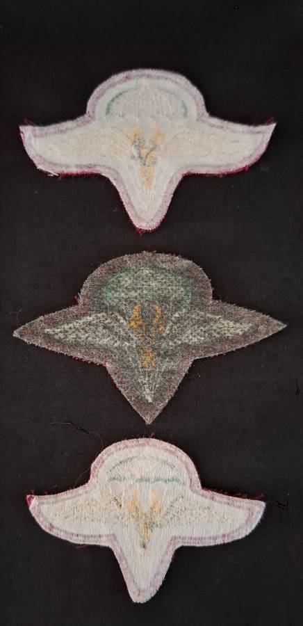 SADF 1 Parachute battalion cloth beret badges ---- 3 Types         E96