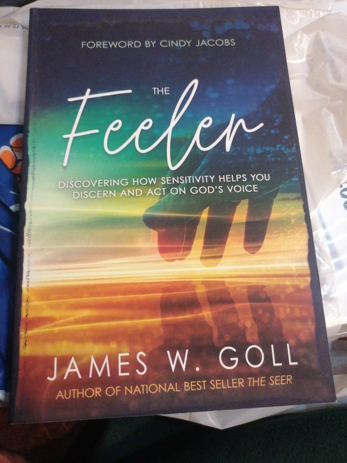 The Feeler: Discovering How Sensitivity Helps You Discern and Act on God's Voice