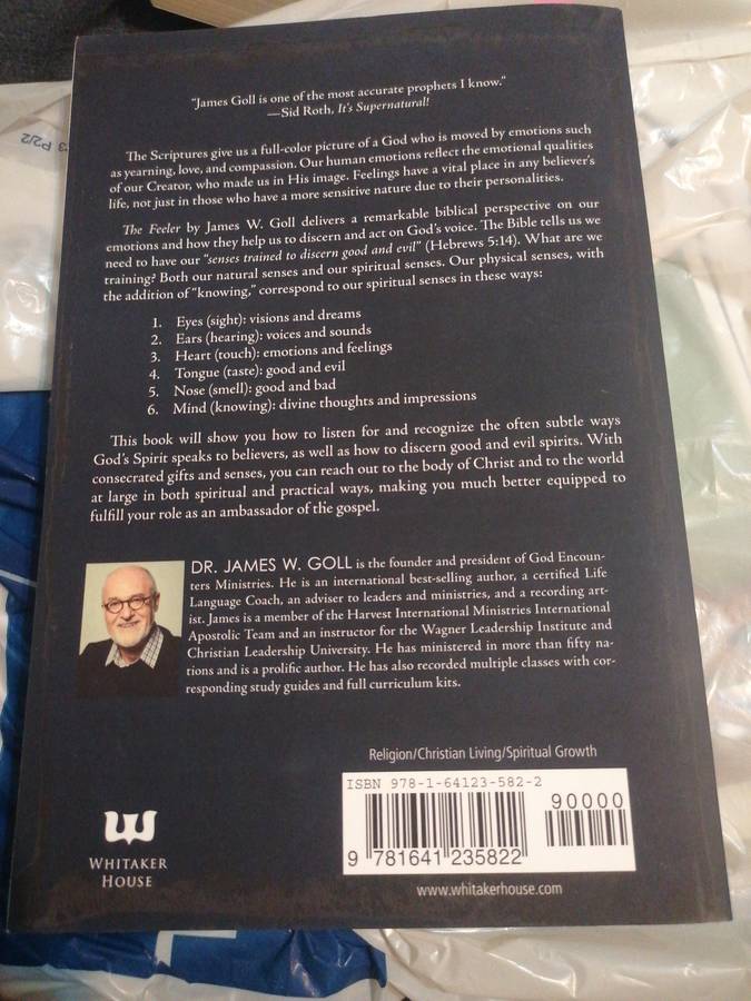 The Feeler: Discovering How Sensitivity Helps You Discern and Act on God's Voice