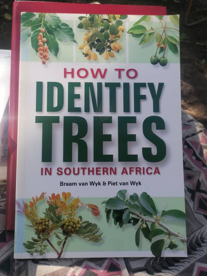 How to Identify Trees in Southern Africa Book by Abraham Erasmus van Wyk
