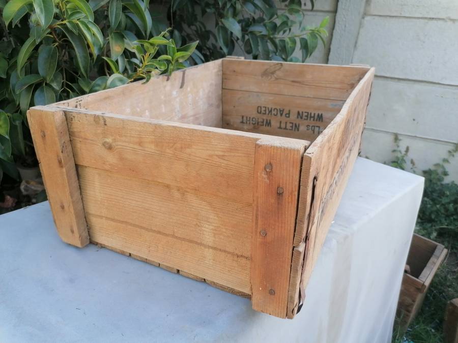 Antique LION BLUE crate