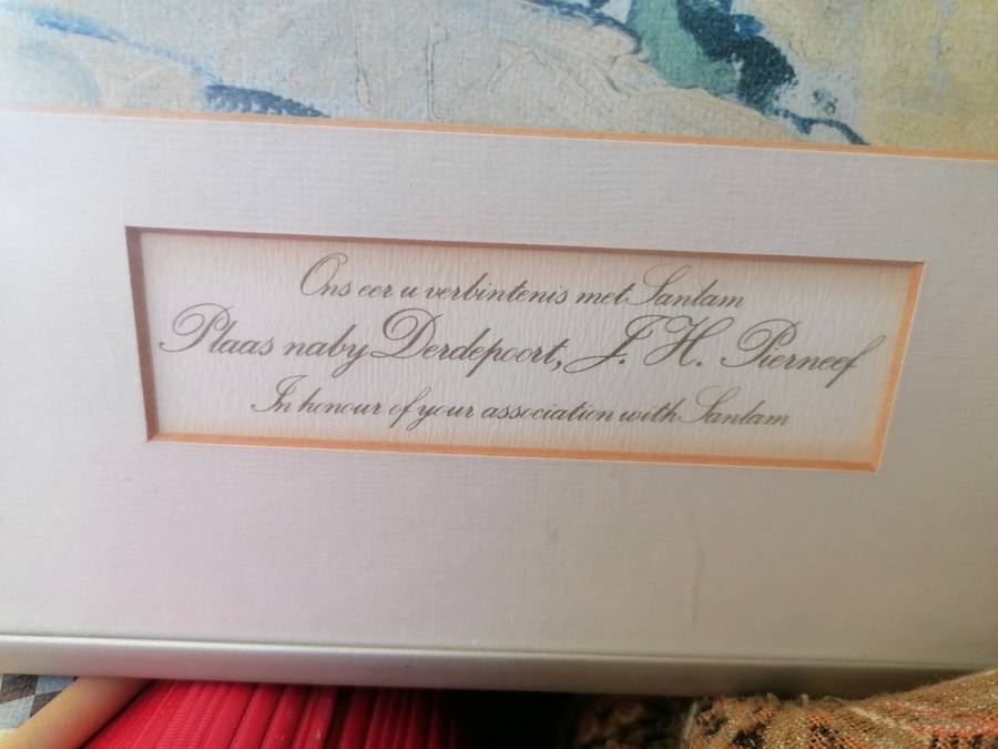 SANLAM PIERNEEF PLAAS NABY DERDEPOORT AFDRUK