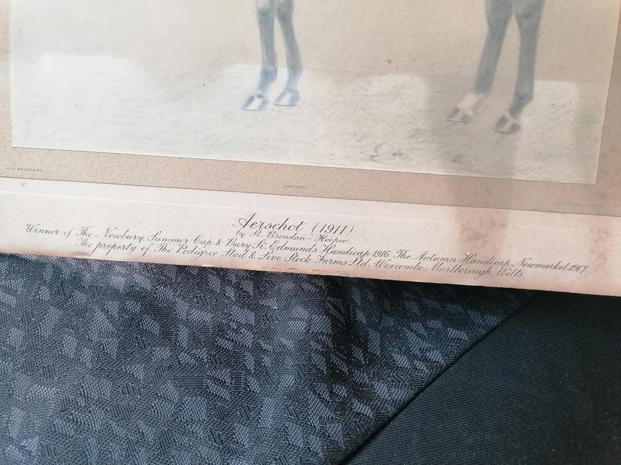 Antique horse racing picture
