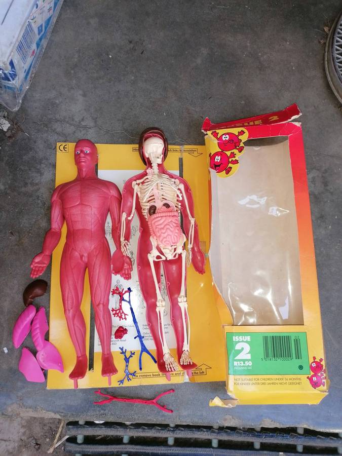 How my body works figure. As per picture.