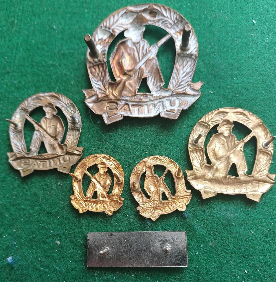 SA Commando set of brass cap badge, collars and mess dress collars with balkie, all pins.